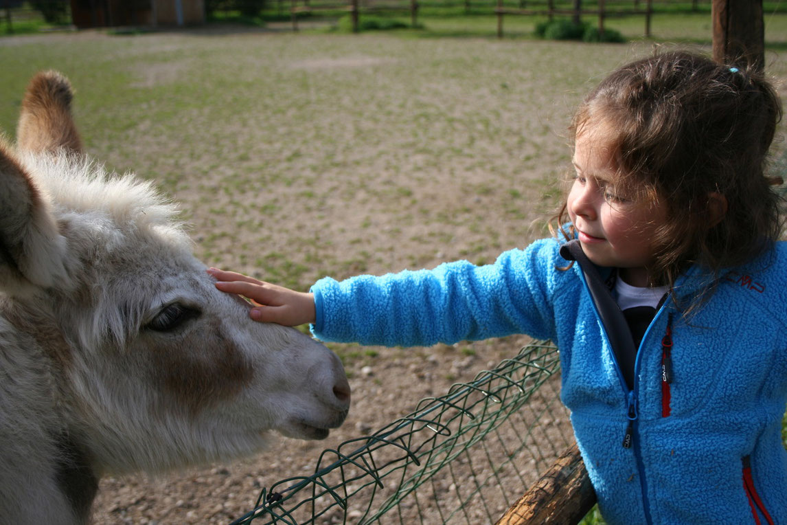 Interventi Assistiti con gli Animali, formazione, esperienze ludico-didattiche.