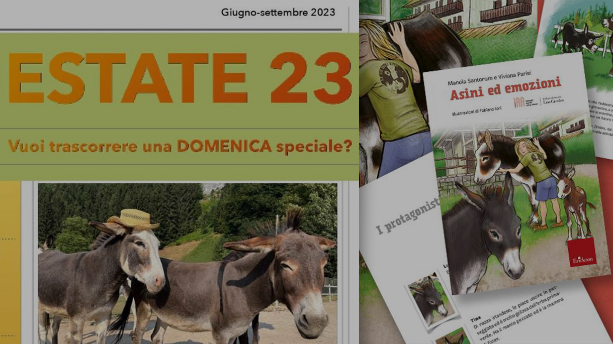 Incontri estate 2023 back image